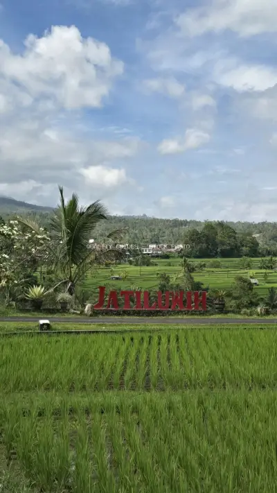 Jatiluwih Rice Terraces Bali Iconic Red Sign Landscape - stock photo