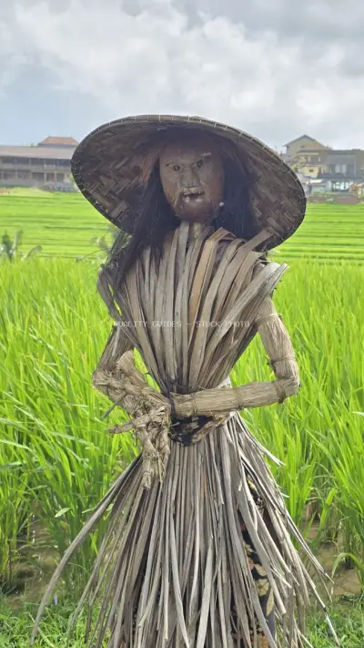Scarecrow in Jatiluwih Rice Terraces Bali Indonesia - stock photo