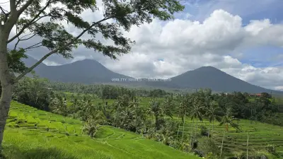 Jatiluwih Rice Terraces Bali with Volcanic Mountains - stock photo