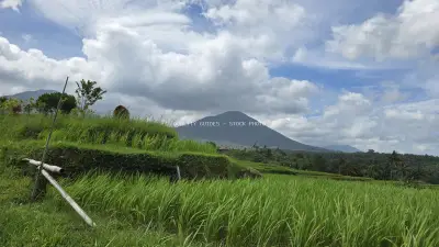 Jatiluwih Rice Terraces Bali with Volcano Mountain View - stock photo