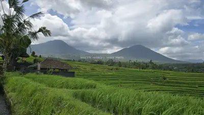 Jatiluwih Rice Terraces Bali Mountains Landscape - stock photo