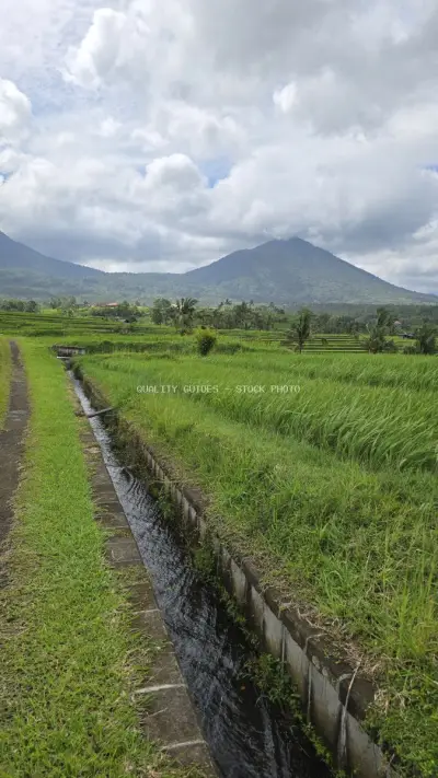 Jatiluwih Rice Terraces Bali Mountain Landscape - stock photo