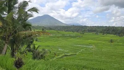 Jatiluwih Rice Terraces Bali Mountain Landscape - stock photo