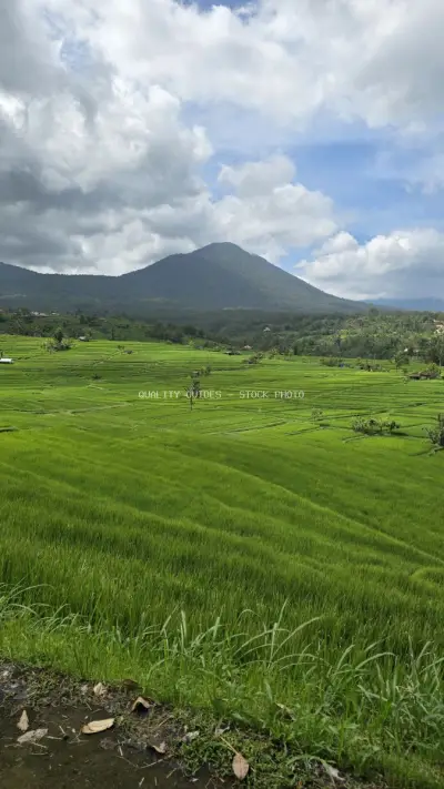 Jatiluwih Rice Terraces Bali Volcano Mountain Landscape - stock photo