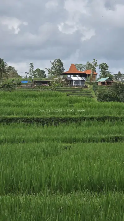 Traditional Balinese House Rice Terraces Jatiluwih - stock photo
