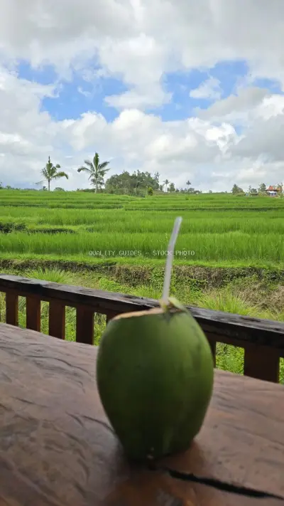 Fresh Coconut Drink Overlooking Bali Rice Terraces - stock photo