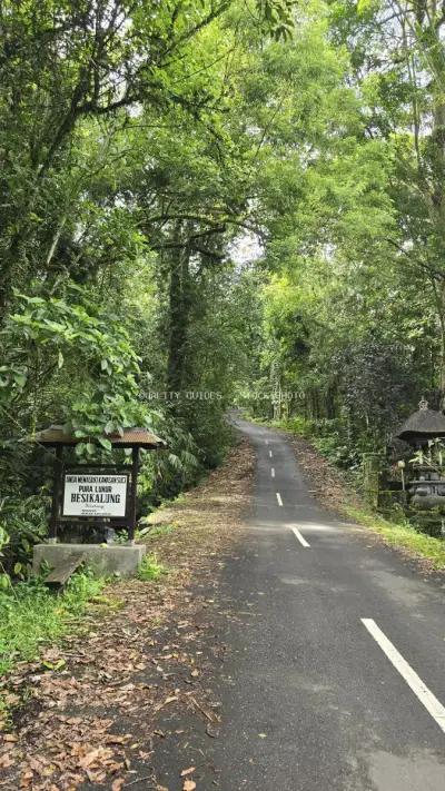Lush Forest Road Through Jatiluwih Rice Terraces Bali - stock photo