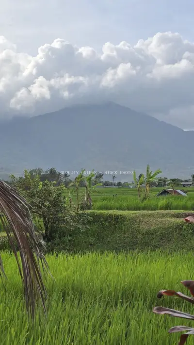 Jatiluwih Rice Terraces Bali Mountain Landscape - stock photo