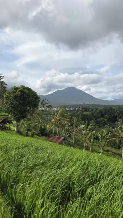 Jatiluwih Rice Terraces Bali Mountain Landscape - stock photo