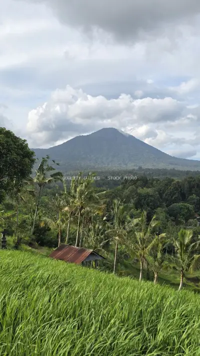 Jatiluwih Rice Terraces Bali Volcano Mountain Landscape - stock photo