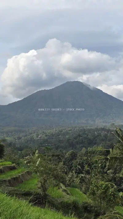 Volcanic Mountain Landscape Jatiluwih Rice Terraces Bali - stock photo