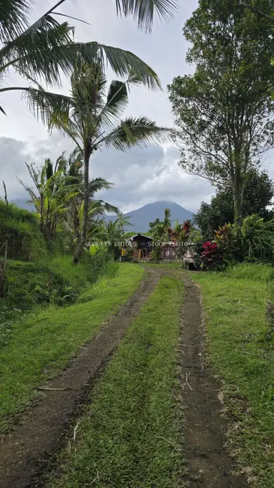 Rural Balinese Village Path with Mountain View - stock photo
