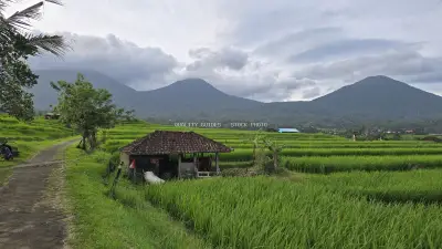 Jatiluwih Rice Terraces Bali with Volcanic Mountains - stock photo