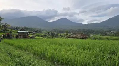 Jatiluwih Rice Terraces Bali Mountains Landscape - stock photo