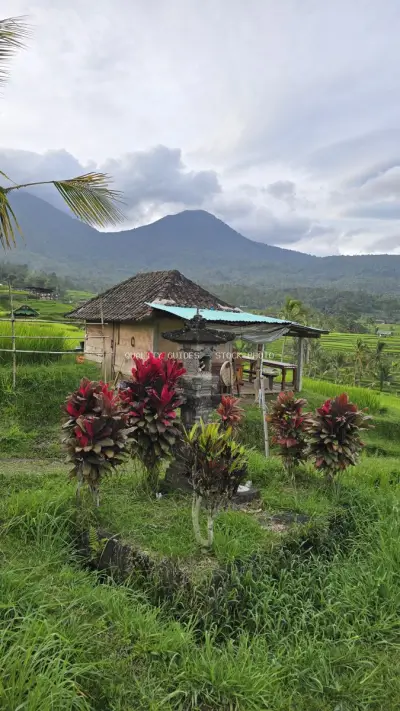 Traditional Balinese Hut Rice Terraces Mountain View - stock photo