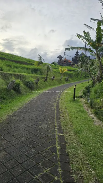 Jatiluwih Rice Terraces Bali Temple Path Landscape - stock photo