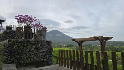 Jatiluwih Rice Terraces Bali Mountain Viewpoint Landscape - stock photo