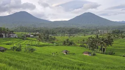 Jatiluwih Rice Terraces Bali with Twin Volcanoes - stock photo