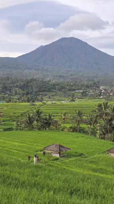 Jatiluwih Rice Terraces with Mountain Bali Indonesia - stock photo