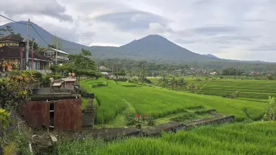 Jatiluwih Rice Terraces Bali with Mountain Views - stock photo