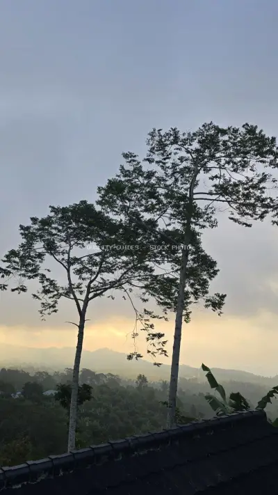 Tropical Sunrise Over Bali Mountains and Jungle Landscape - stock photo