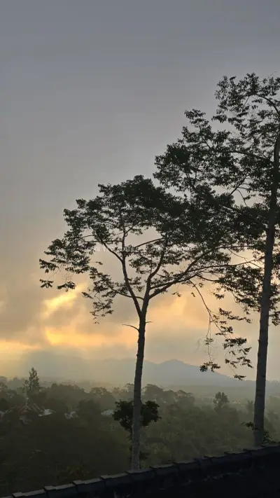 Sunrise Over Bali Mountains with Silhouetted Trees - stock photo