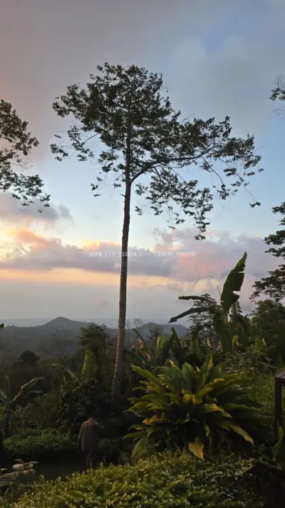 Tropical Sunset Glamping Garden Bali Landscape - stock photo