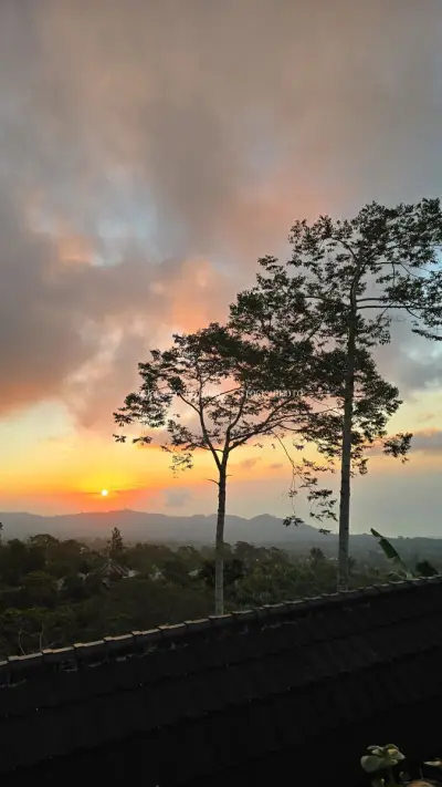 Bali Sunset Glamping View Tropical Trees Golden Hour - stock photo
