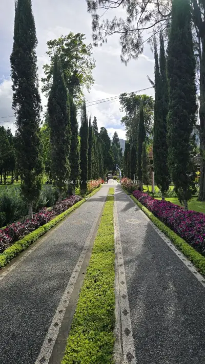 Ulun Danu Beratan Temple Cypress Lined Pathway Bali - stock photo