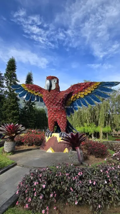 Colorful Macaw Statue Bali Garden Sculpture Landmark - stock photo