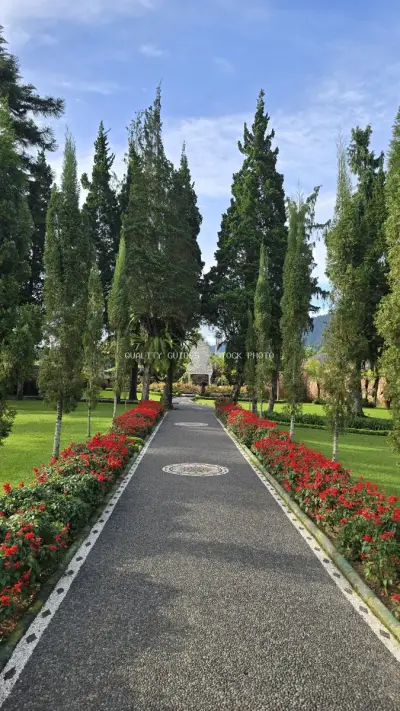 Ulun Danu Beratan Temple Pathway with Cypress Trees Bali - stock photo