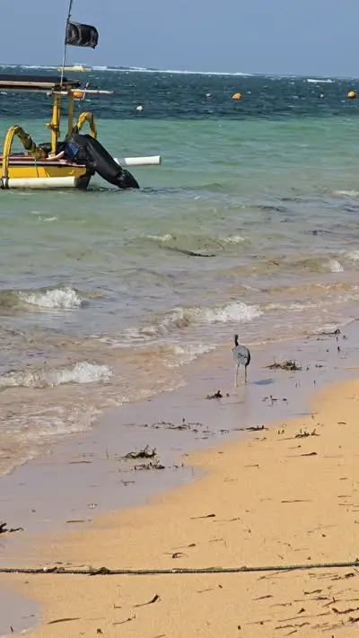 Bali Sanur Beach B-roll Footage with Traditional Jukung Boat and Bird - stock photo