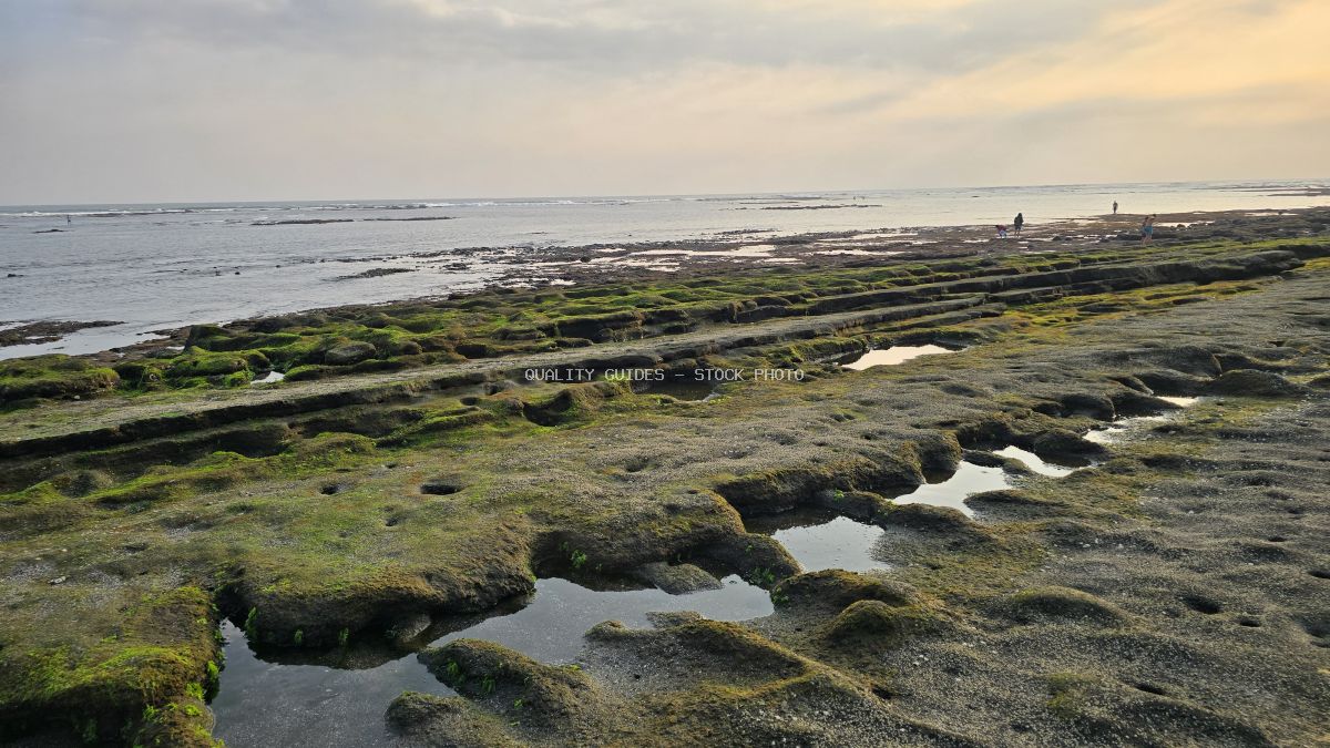 Mossy volcanic rock formations and tide pools on Cemagi Beach, Bali, under an overcast sky with distant figures. - stock photo