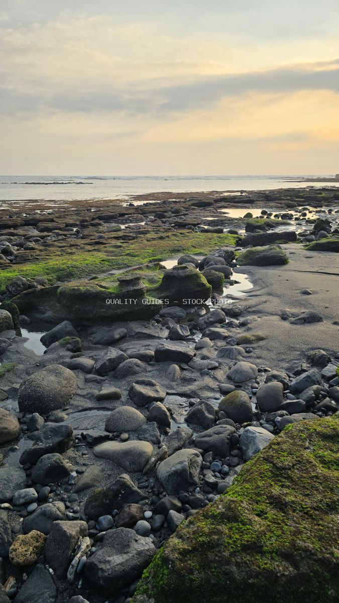 Rocky Cemagi Beach at low tide with moss-covered stones and a warm, cloudy sky over the ocean. - stock photo