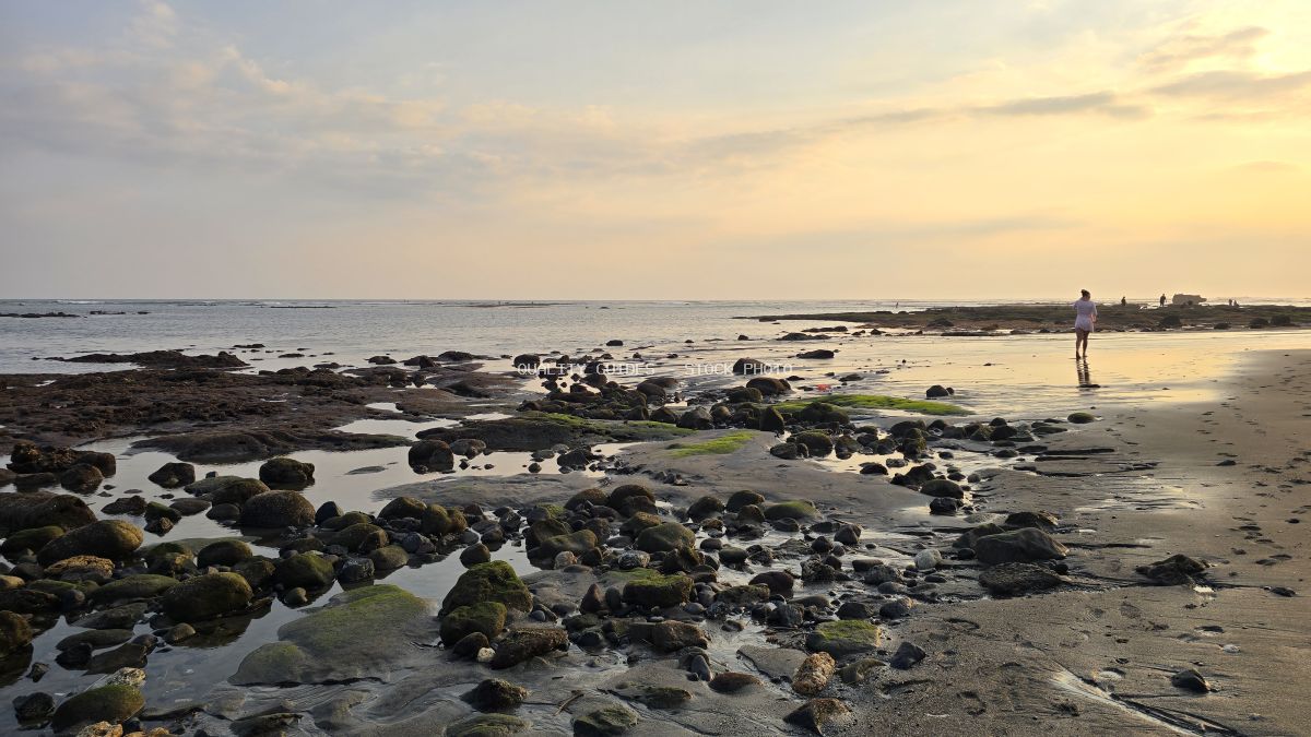 A person walks on a rocky beach at sunset in Bali, with warm light reflecting on wet sand and tidal pools. - stock photo