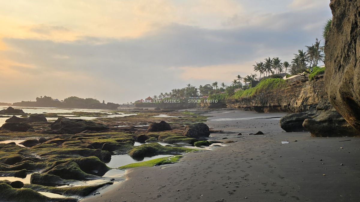 Cemagi Beach, Bali at sunset with dark sand, mossy rocks, cliffs, palm trees, and a distant temple. - stock photo