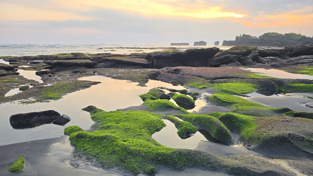 Mengening Beach in Bali with green moss-covered volcanic rocks, tide pools, and a soft sunset sky. - stock photo