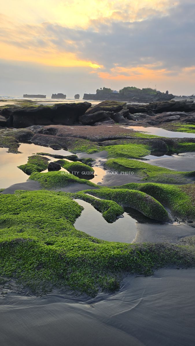 Sunset at Mengening Beach, Bali, with green moss-covered rocks, black sand, and distant temple. - stock photo