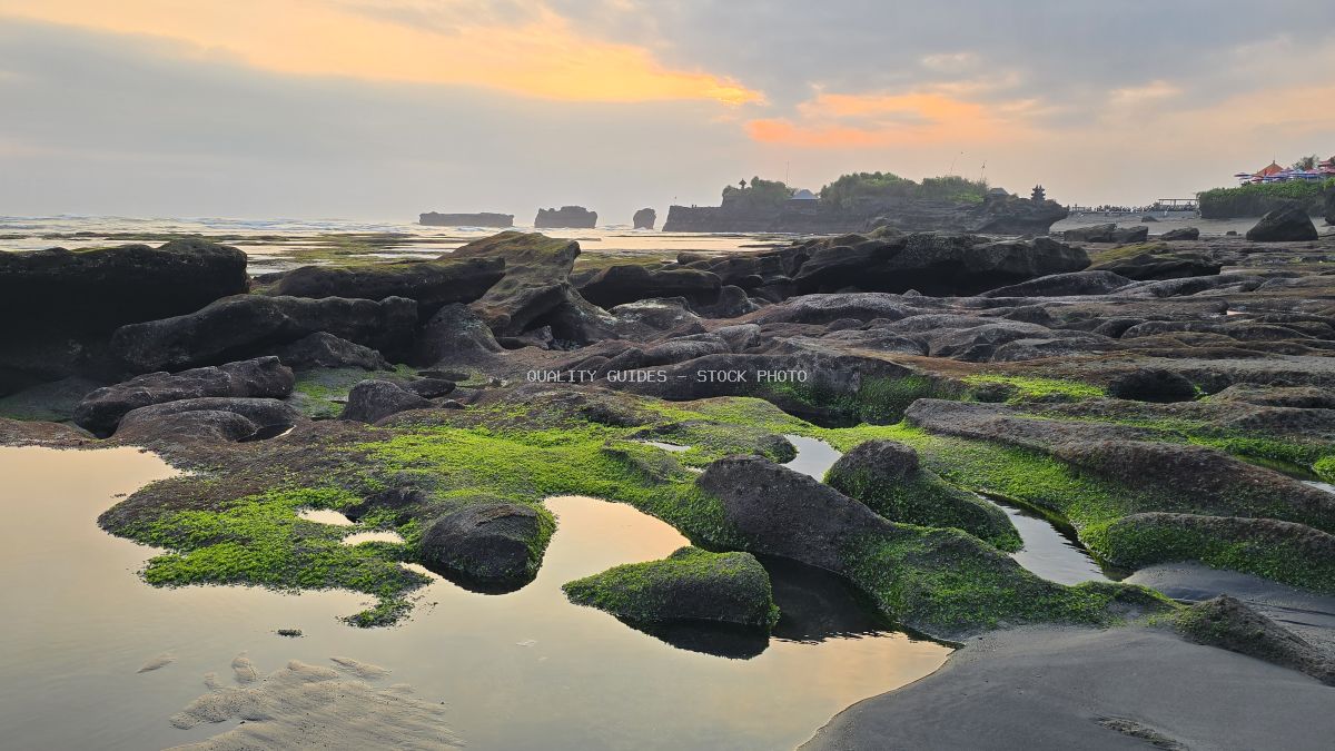 Rocky beach at sunrise with green moss, tide pools reflecting sky, and distant Tanah Lot temples in Bali. - stock photo