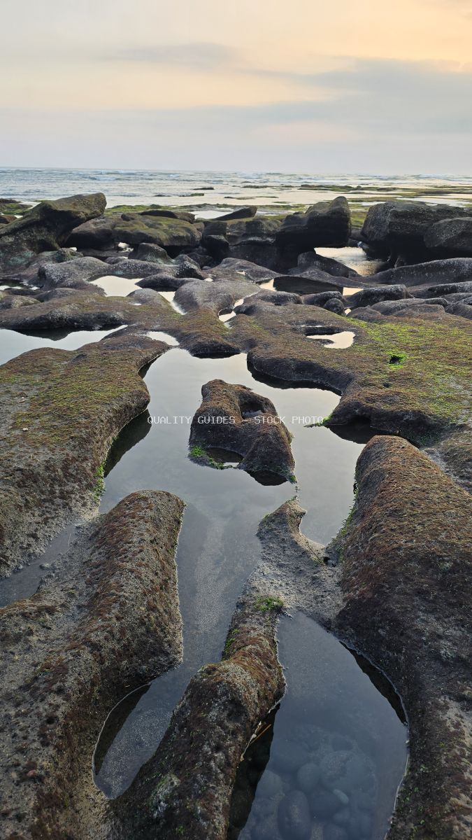 Rocky beach with tide pools and ocean under a soft, cloudy sky at Mengening Beach, Bali. - stock photo