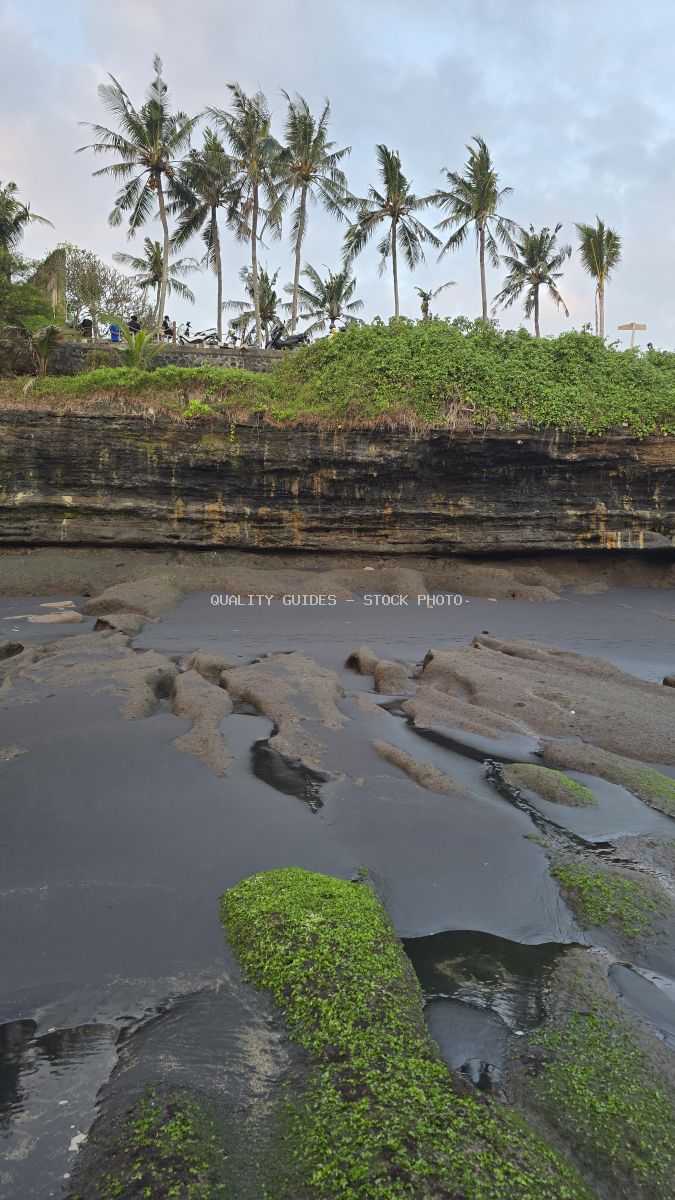 Mengening Beach, Bali, with dark volcanic sand, mossy rocks, a cliff, and palm trees under an overcast sky. - stock photo