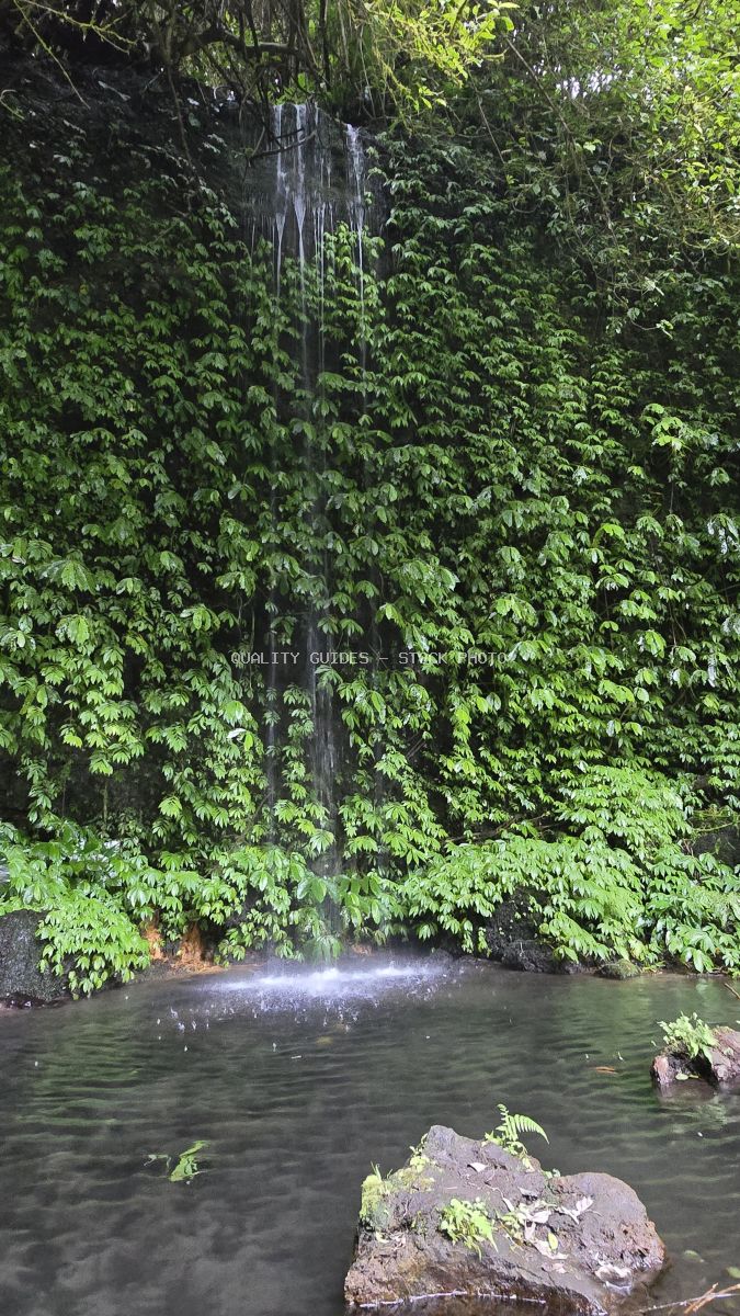 Hidden waterfall cascading into emerald pool surrounded by lush tropical jungle vegetation in Bali - stock photo