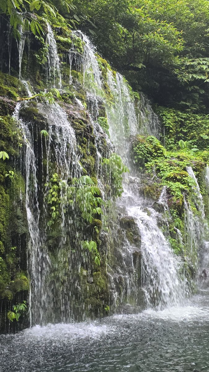 Moss-covered waterfall cascading down rocky cliff in tropical Bali jungle with lush green vegetation - stock photo