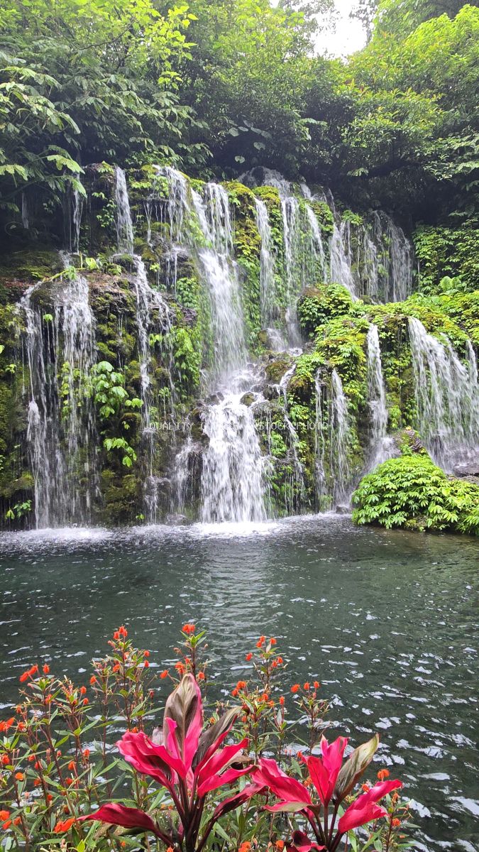 Banyu Wana Amertha Waterfall in Bali with red tropical flowers in foreground and multi-tiered cascades - stock photo