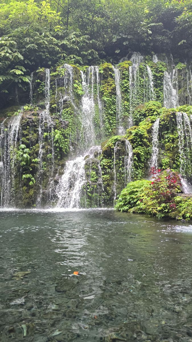 Multi-tiered waterfall with moss-covered cliffs surrounded by lush green jungle vegetation and emerald pool in Bali - stock photo