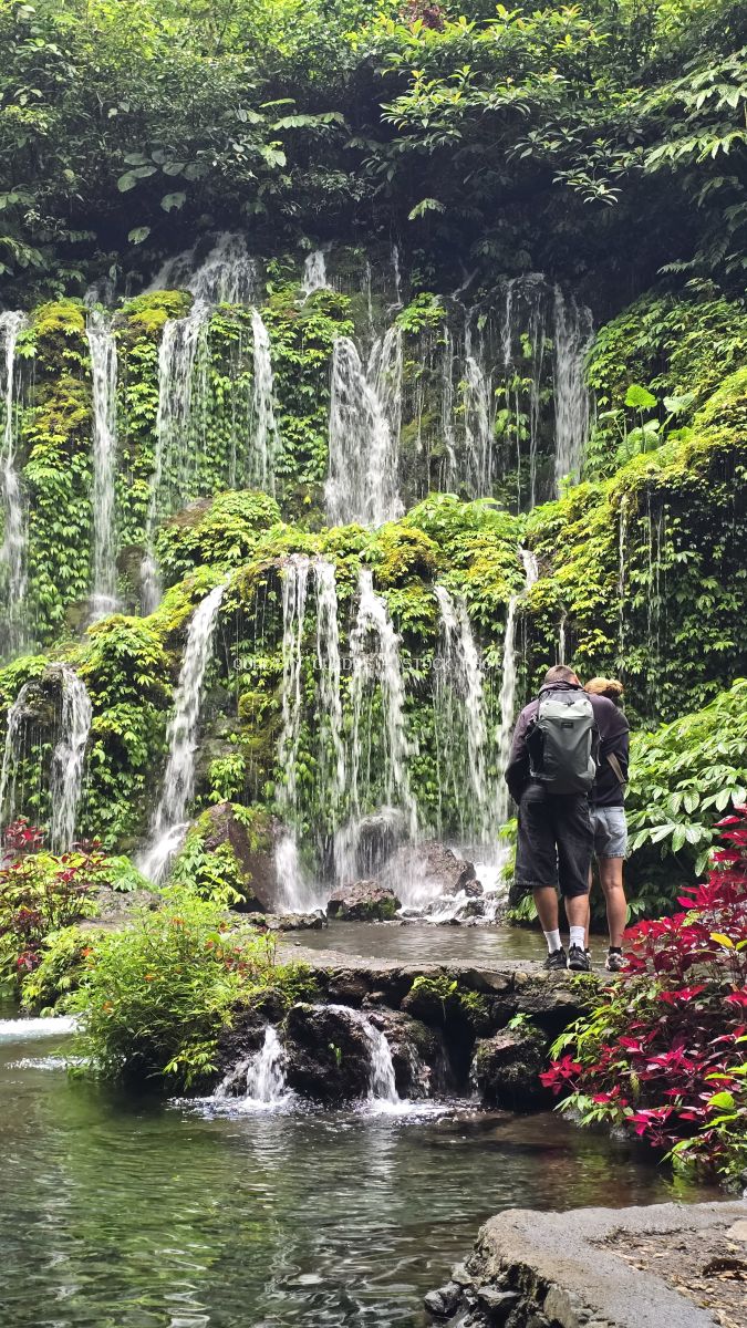 Hiker with backpack viewing multi-tiered waterfall surrounded by lush green vegetation and magenta flowers in Bali - stock photo