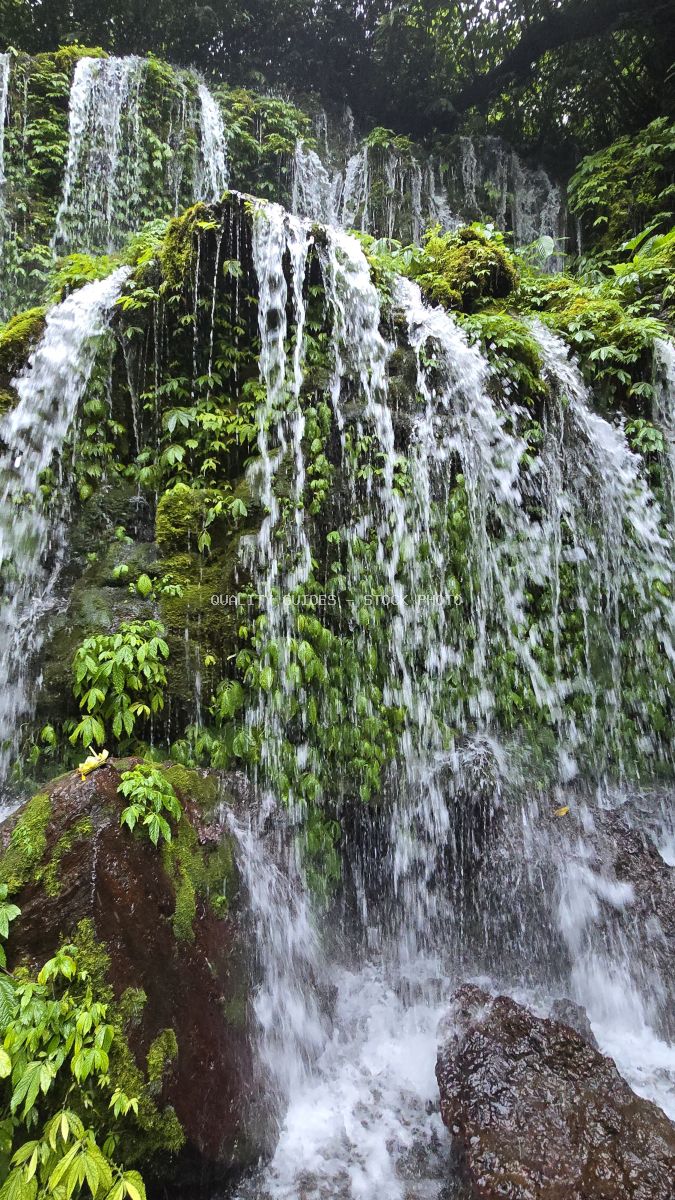 Banyu Wana Amertha Waterfall in Bali with cascading white water over moss-covered rocks surrounded by tropical jungle vegetation - stock photo
