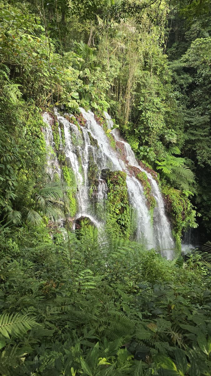 Multi-tiered waterfall with moss-covered rocks surrounded by lush tropical jungle vegetation in Bali - stock photo