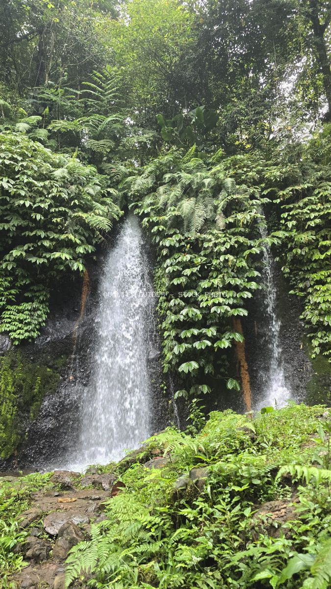 Banyu Wana Amertha Waterfall in Bali surrounded by lush tropical jungle and green ferns - stock photo