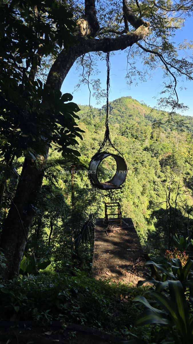 Tire swing hanging from tree branch in lush Bali jungle with green mountains and hiking trail in background - stock photo
